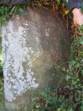 image of grave number 344389